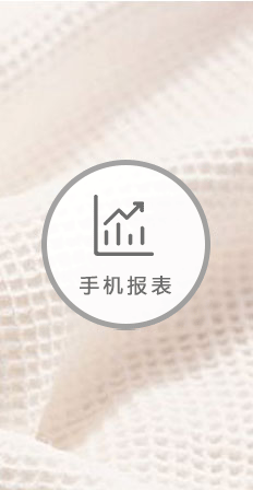 手機報表